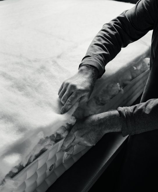 natuurlijk slapen vispring