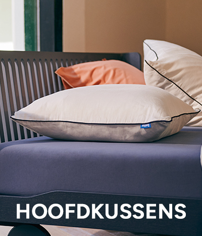 Hoofdkussens
